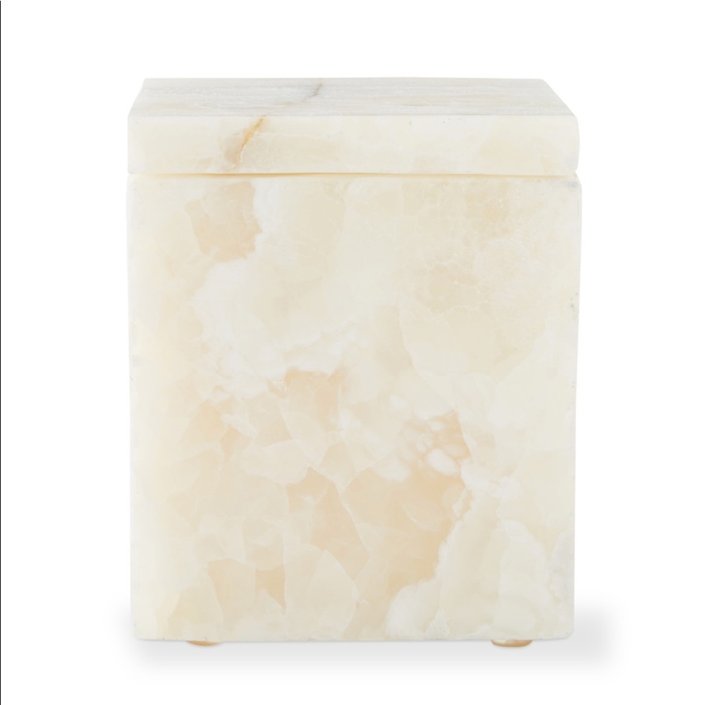NWT Large Onyx Canister